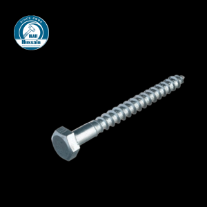 Coach Screws