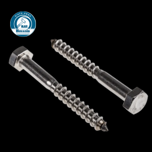 A2 S.S.304 Coach Screw