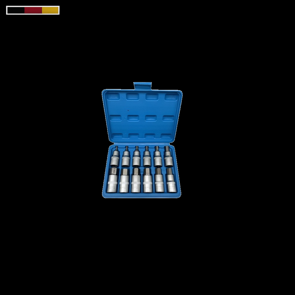 Hex Bit Socket Set 1/2"Dr 12PCs